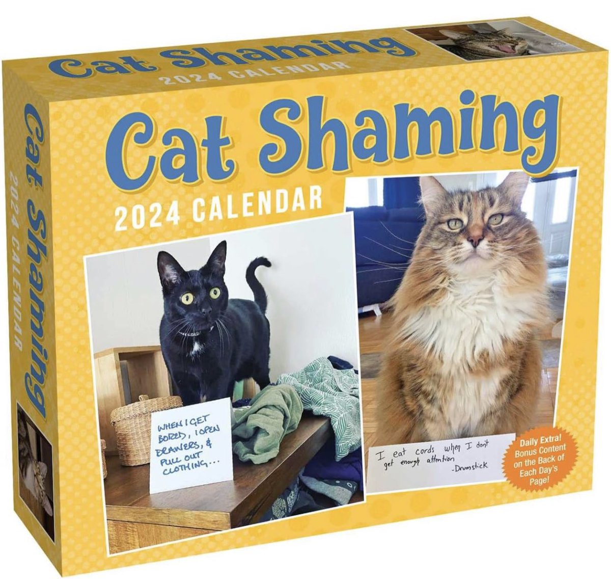 Cat_Shaming's tweet photo. We couldn’t let you miss out on the Amazon Prime Day deals starting today, but we DEFINITELY COULDNT let YOU miss out on picking up a copy of Cat Shaming 2024!!! Click the link. 😼

 https://t.co/mzjzqKHSI2 https://t.co/IeQnaqajUU
