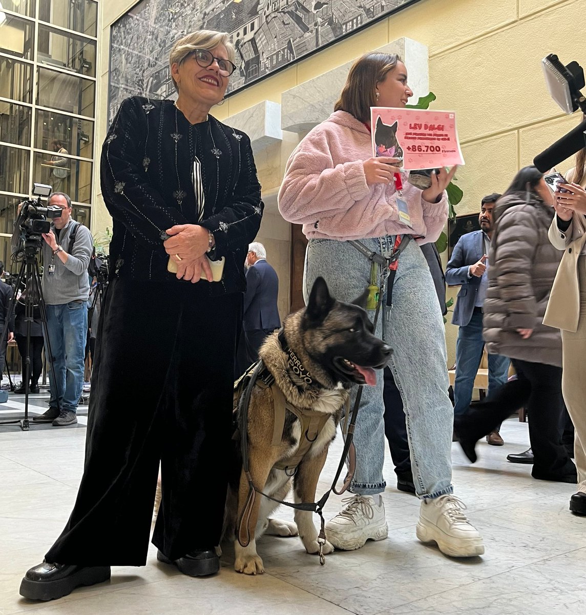 lorenafriesm's tweet photo. #DiaMundialdelaSaludMental 💚
 La #LeyDalgi sigue su tramitación en la Comisión de Salud. El proyecto busca el reconocimiento de los perros de asistencia psiquiátrica y que no se impida su acceso a lugares con sus cuidadores/as. 

¡Infórmate y apóyanos para que sea realidad! https://t.co/BSEhvPAm8g