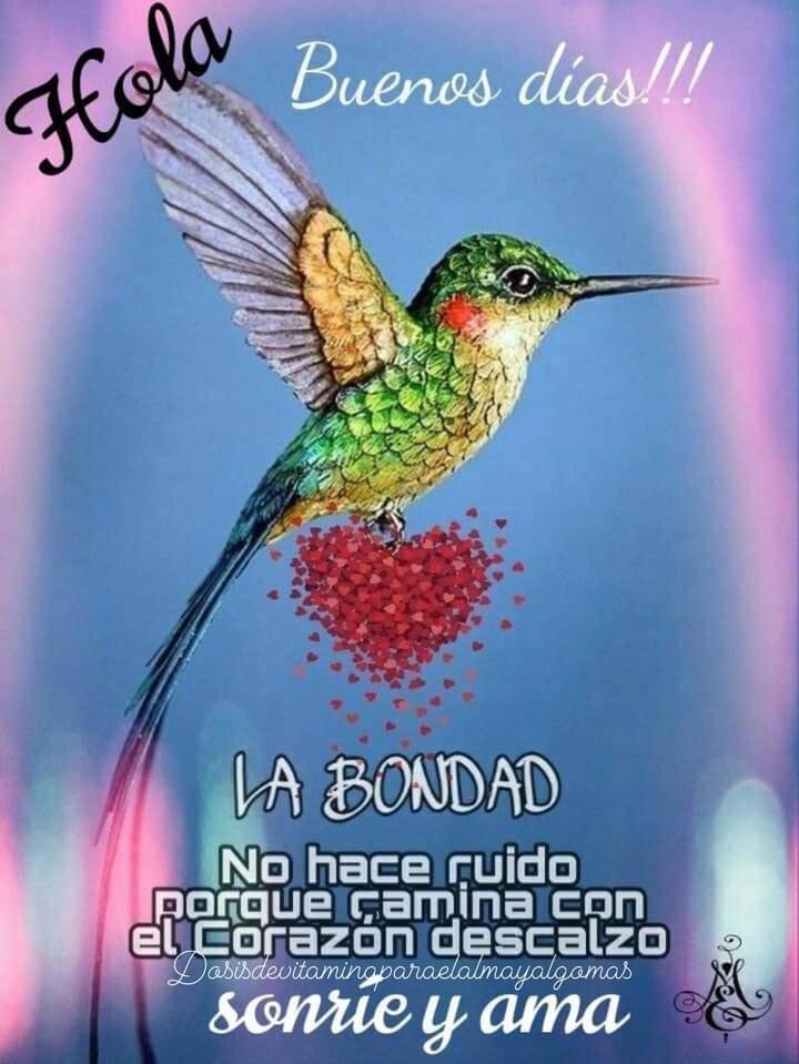 Elizabeth_C_M_'s tweet photo. Bendecido día 🔆 https://t.co/sJi0WXrTSo