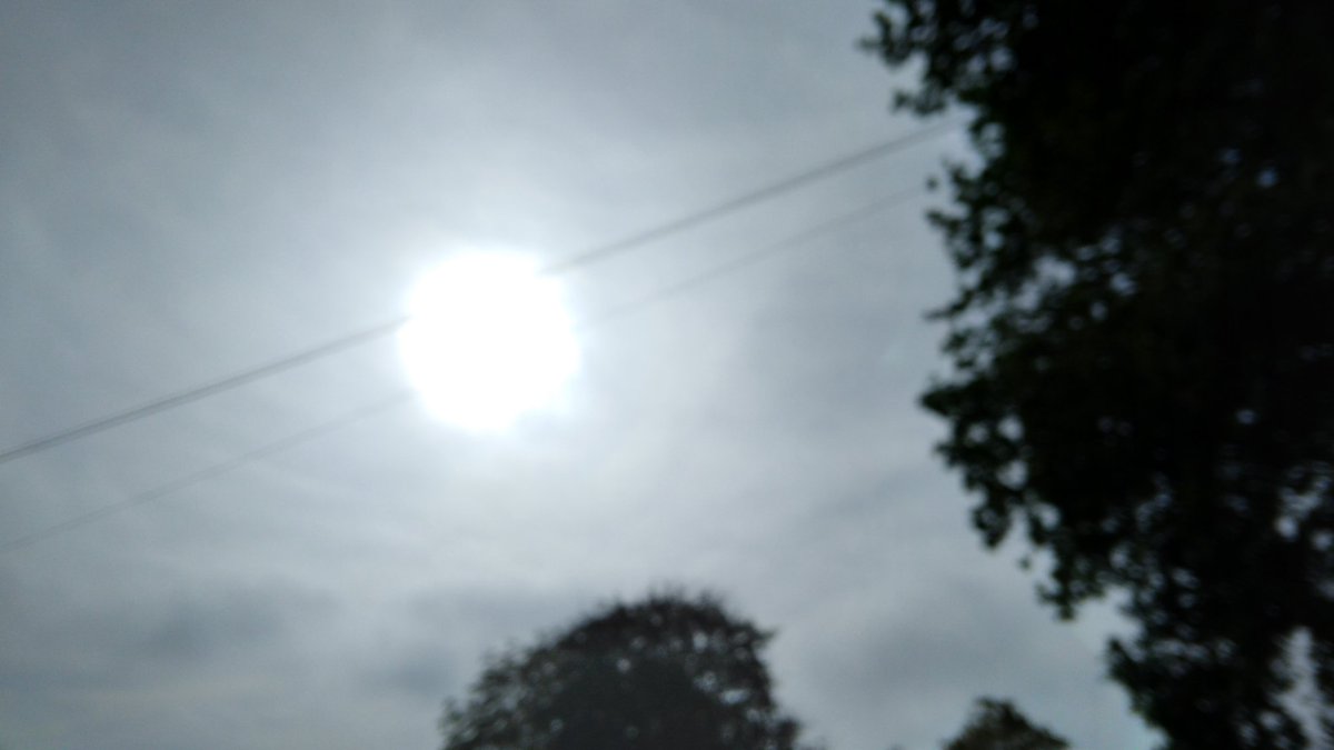 Eleanor Holdsworth tweet media