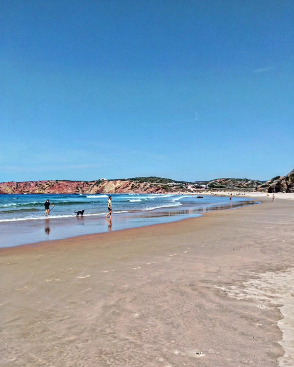 BlackBird87000's tweet photo. Le spot du jour...🤩 #UnJourUnePlage ⛱️ Praia Do Amado. Entre Sagres et Aljezur. 36 km de Lagos...Surf et bodyboard... Bonne journée le #X ❤️🇵🇹 #PraiaDoAmado #Sagres #Aljezur #Lagos #Algarve #Portugal https://t.co/TJsv8K7ePX