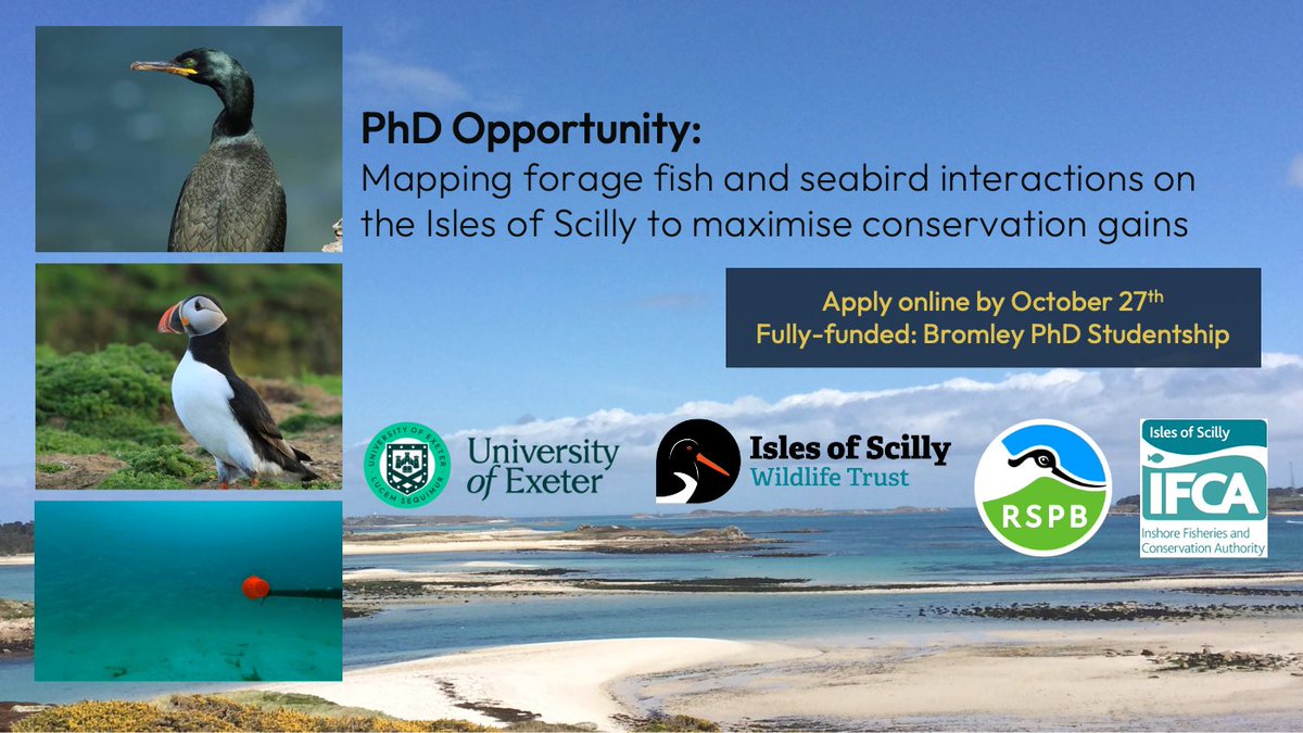 📣 PhD opportunity to study seabirds & fish on the beautiful Isles of Scilly with me, @rbsherley, & @_KMETCALFE at @ExeterMarine @UniExeCEC Alongside @naturevoices, @IoSIFCA, & @ScillyWildlife to maximise conservation gains Apply online by October 27th: exeter.ac.uk/study/funding/…