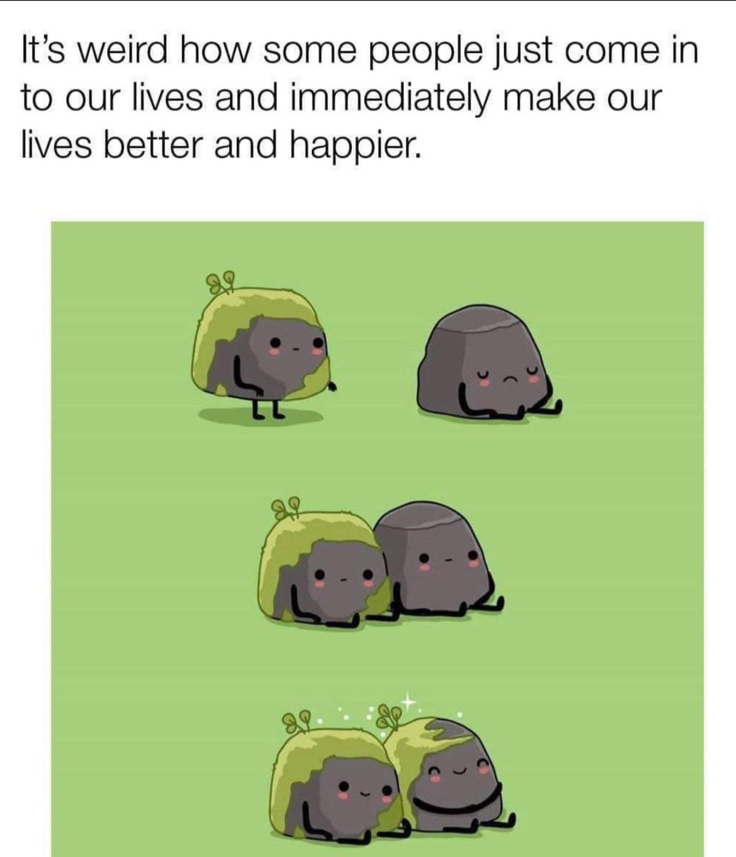 WholesomeMeme's tweet photo. https://t.co/pcxntE4Nji