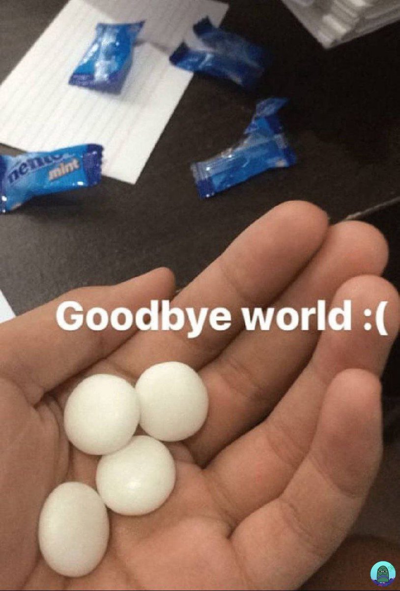 tanyakanrl's tweet image. Aku udah ga sanggup, selamat tinggal semuanya 💚