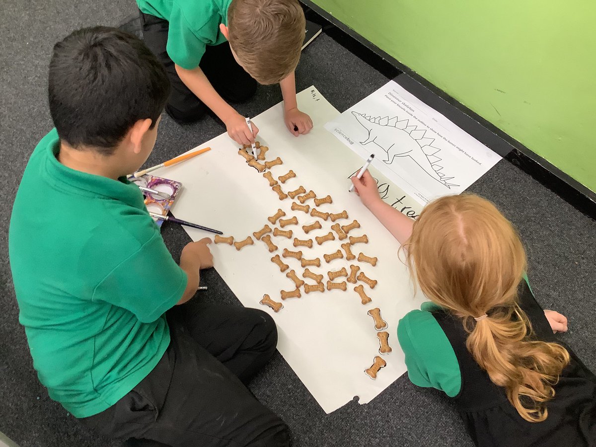 Wye_WPA's tweet photo. Next up we became palaeontologists and used real life dinosaur bones 😉😉 to create our very own dinosaurs. #WatersideScience https://t.co/PWfwWaCGac