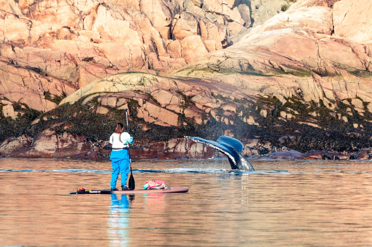 📸 Mon challenge du moment: Maîtriser un «antique» DSLR suite à la mort de mon appareil photo hybride «mirrorless» 😱

🔎 Le terrain de jeu: Le Québec et ses pépites, comme ici aux environs des Escoumins (👋 <a href="/cotenordqc/">Tourisme Côte-Nord</a> )