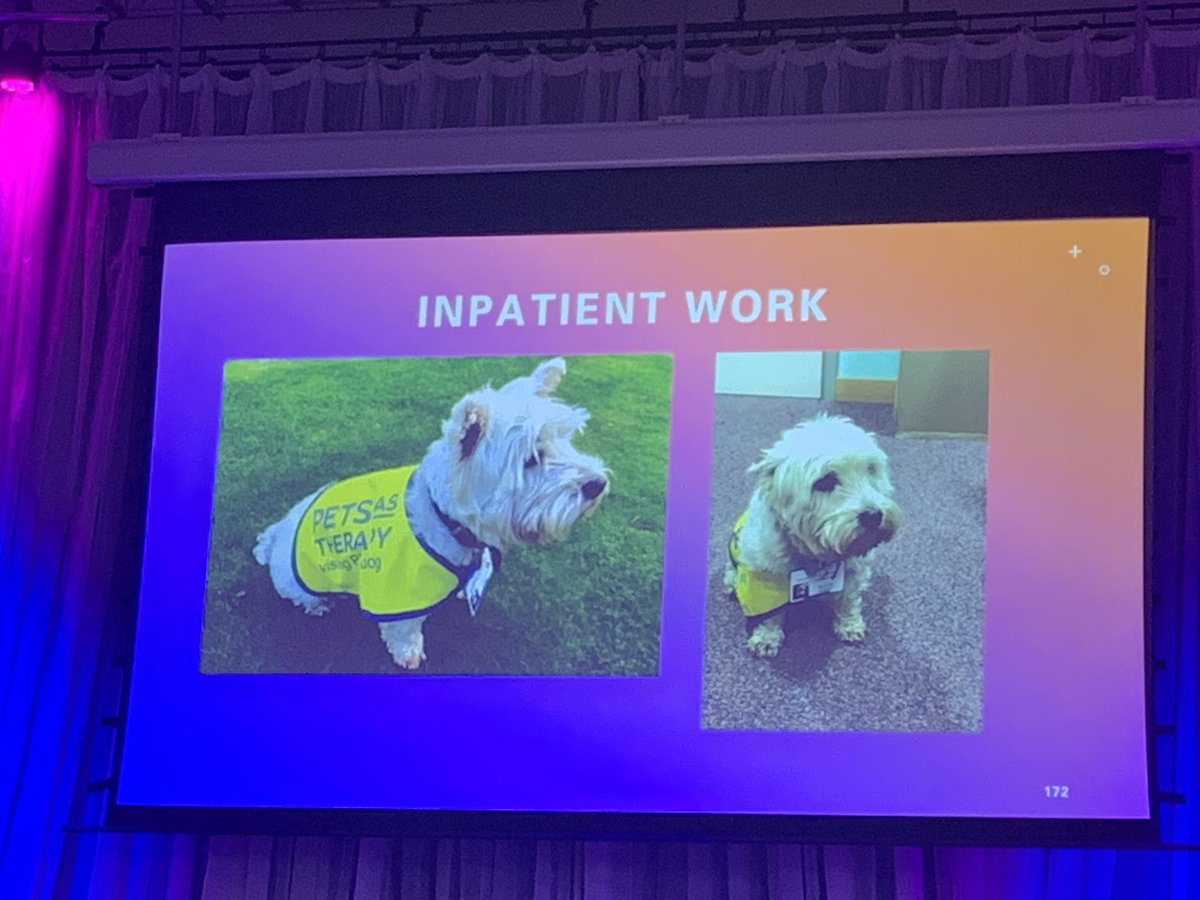 #PIER2023 therapy dogs