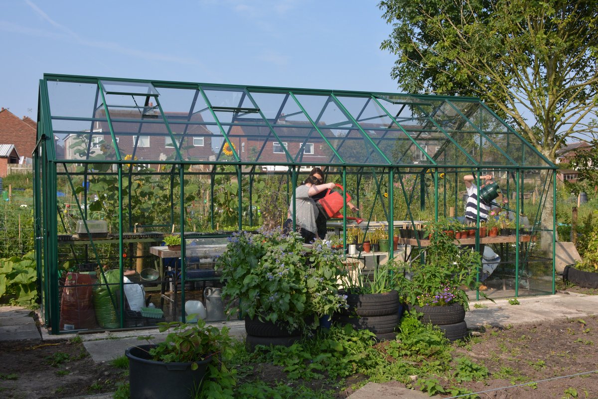powertochange_'s tweet photo. We're spotlighting community businesses providing mental health support for #WorldMentalHealthDay. Find out more about the #communityorgs supporting local people's mental well-being!🌍

💚 @greensynergylin
💚 @NewWortleyCC
💚 @Greenslate_Farm
💚 @NewquayOrchard
💚@HomeSunderland https://t.co/3eAsAq7MZJ