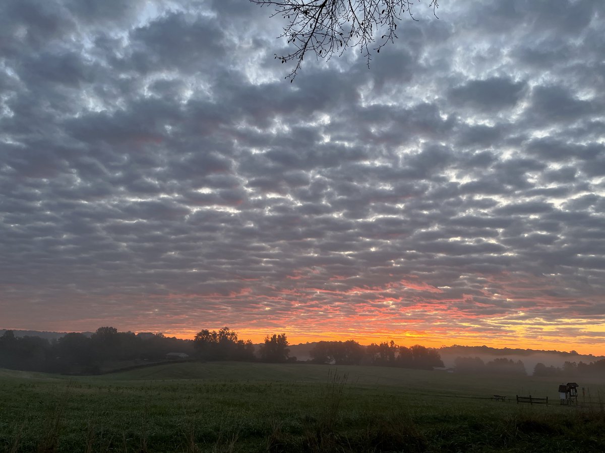Beautiful scenery on my way to ⁦@PattonHawks⁩ this morning. It is going to be a good day🌞