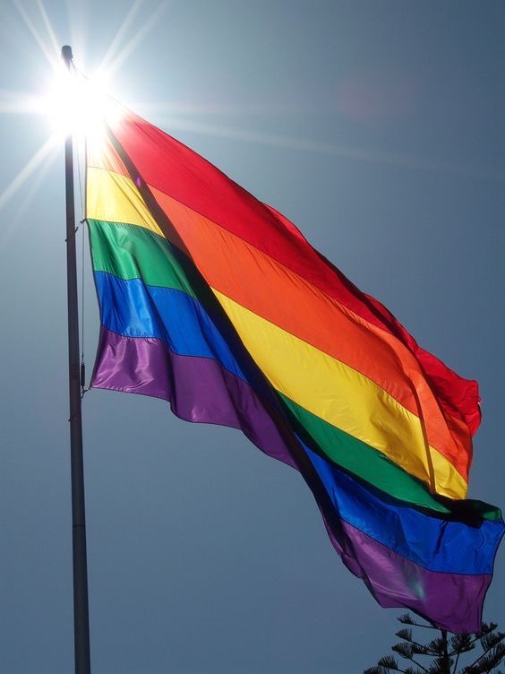 choquei's tweet photo. 🚨AGORA: OAB define como INCONSTITUCIONAL projeto de lei que pretende proibir casamento homoafetivo. https://t.co/xp8dK7aV15