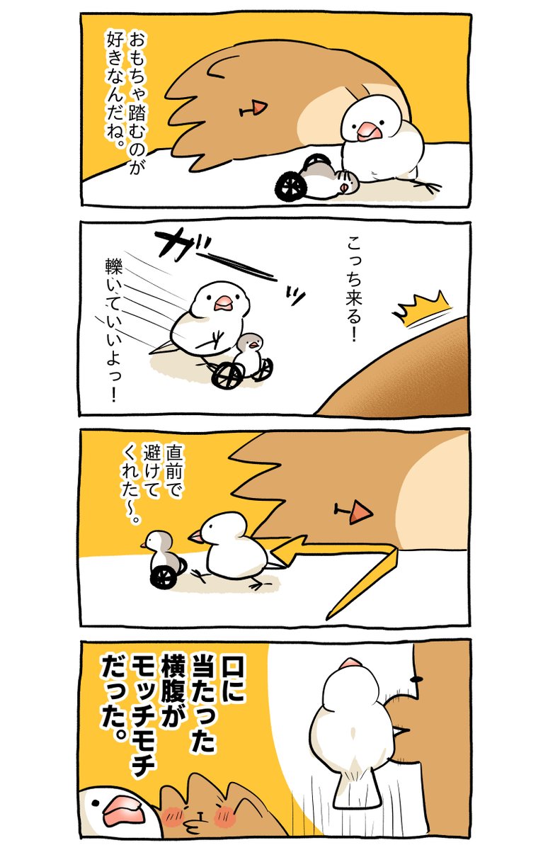 最近のしあわせ。