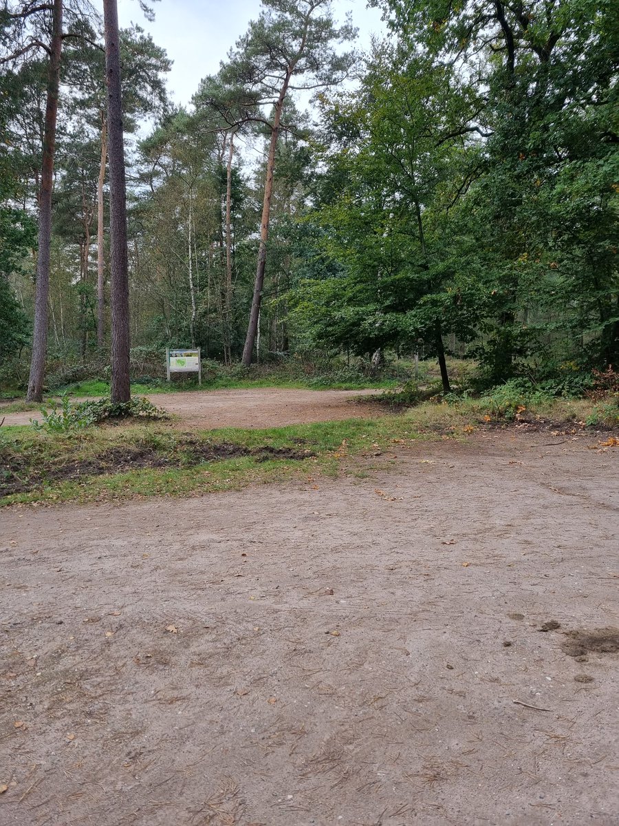 Toezicht in de bossen om en rond #Epe #Wissel. Wat mij opvalt is dat er veel afval ligt wat gedumpt is. Bij constatering door mij volgt PV. Gewoon ronduit asociaal om dit te doen. Peter