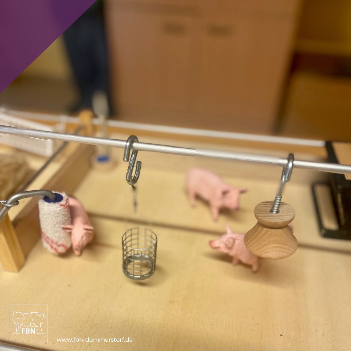 FBN Dummerstorf tweet media