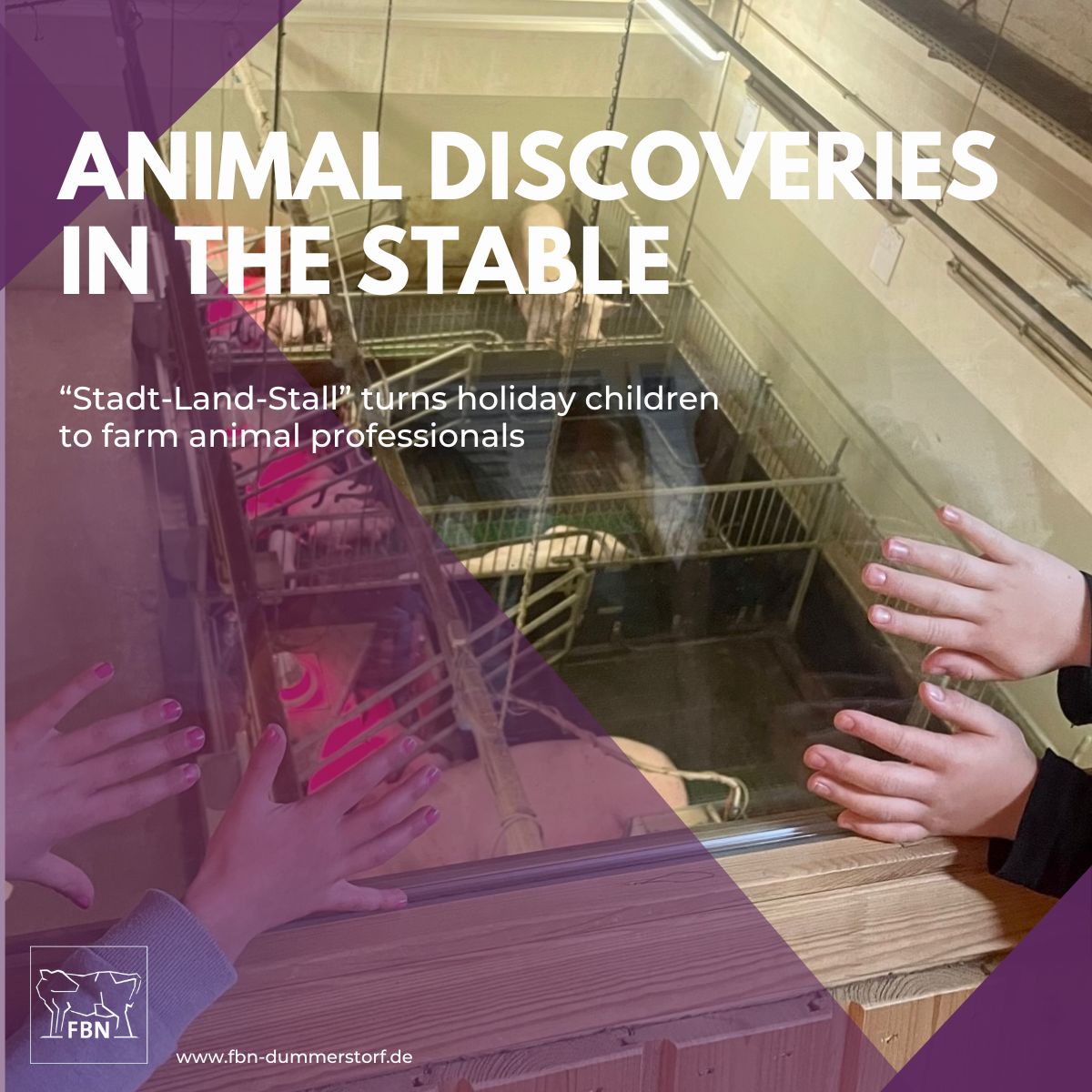 FBN Dummerstorf tweet media