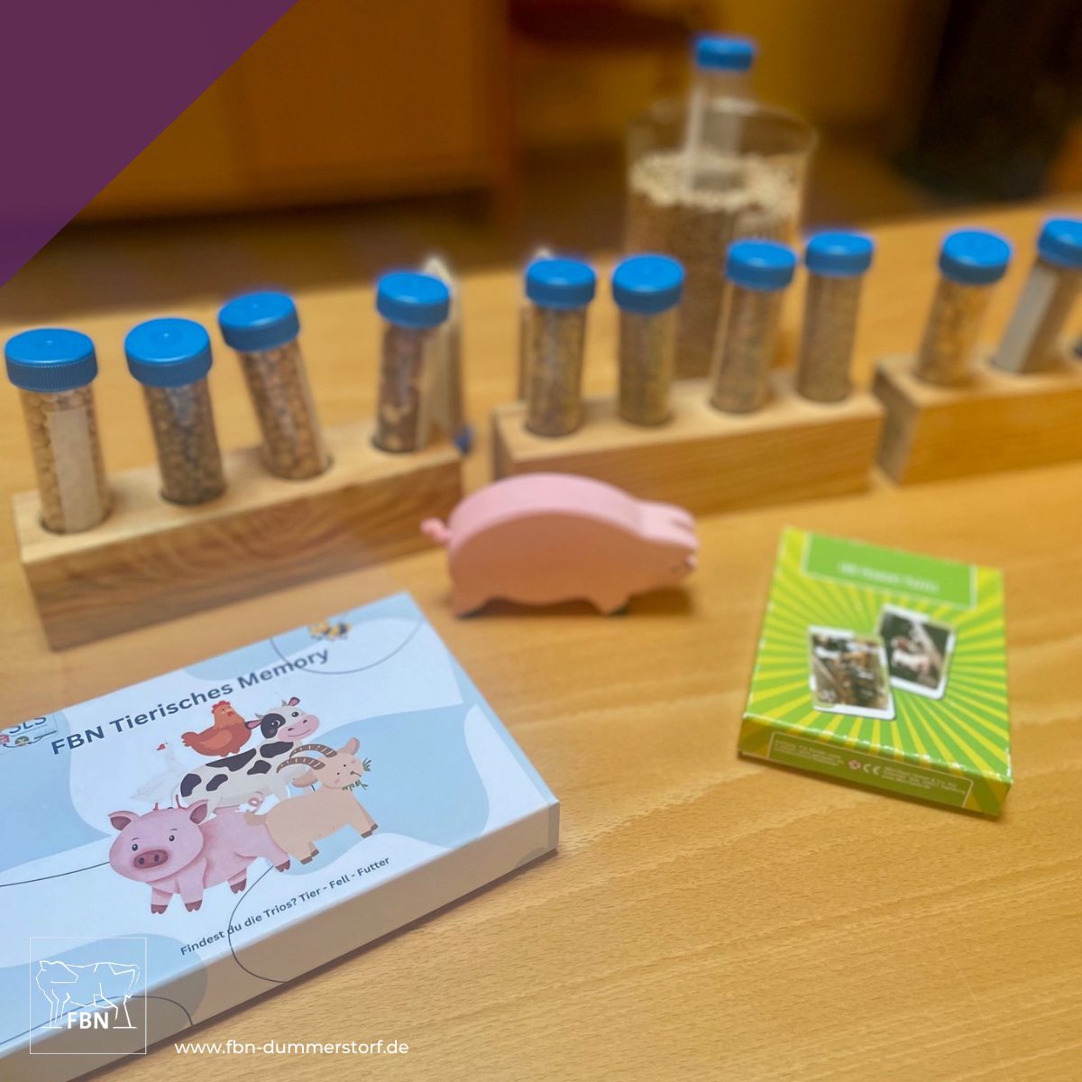 FBN Dummerstorf tweet media