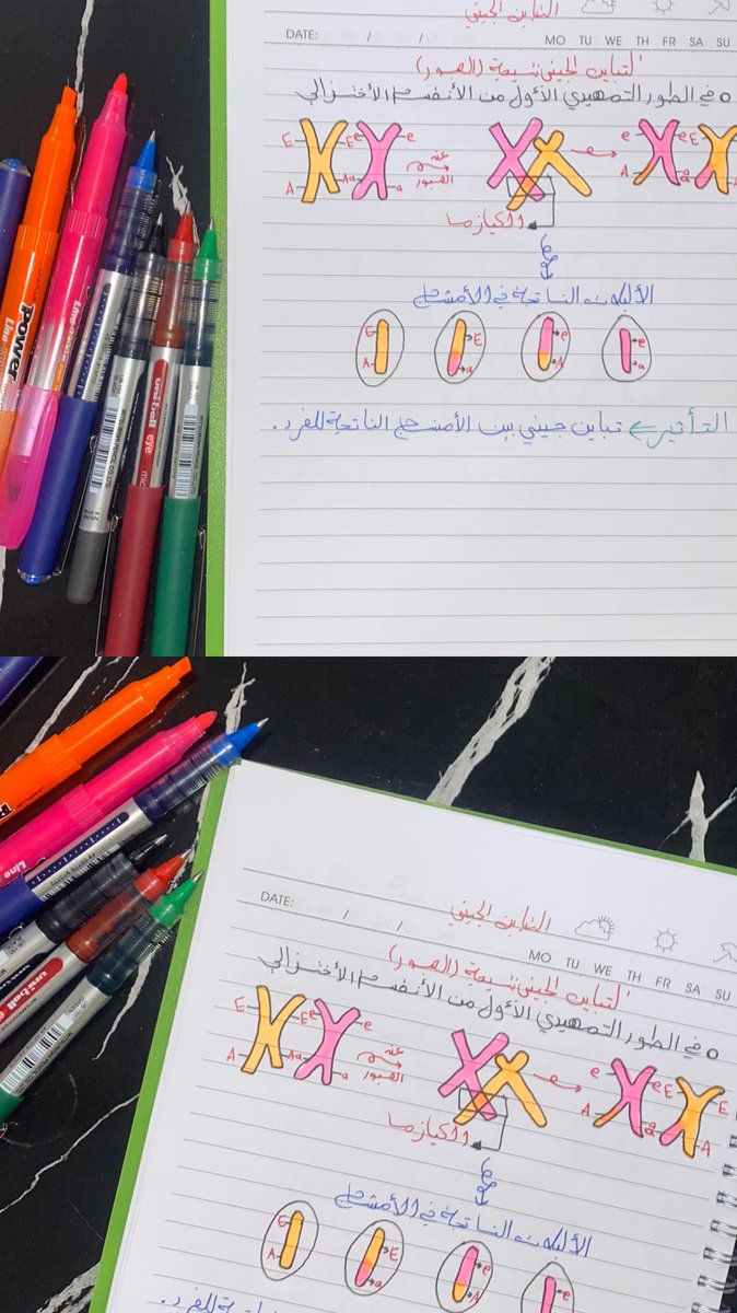 N0ran70's tweet photo. احلى ماده بلا شك🤩🦋 https://t.co/hbEocfWDMG