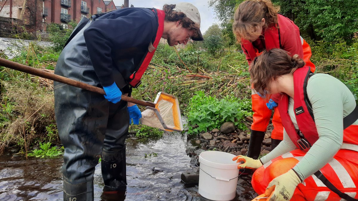 Riverlution by RSC tweet media