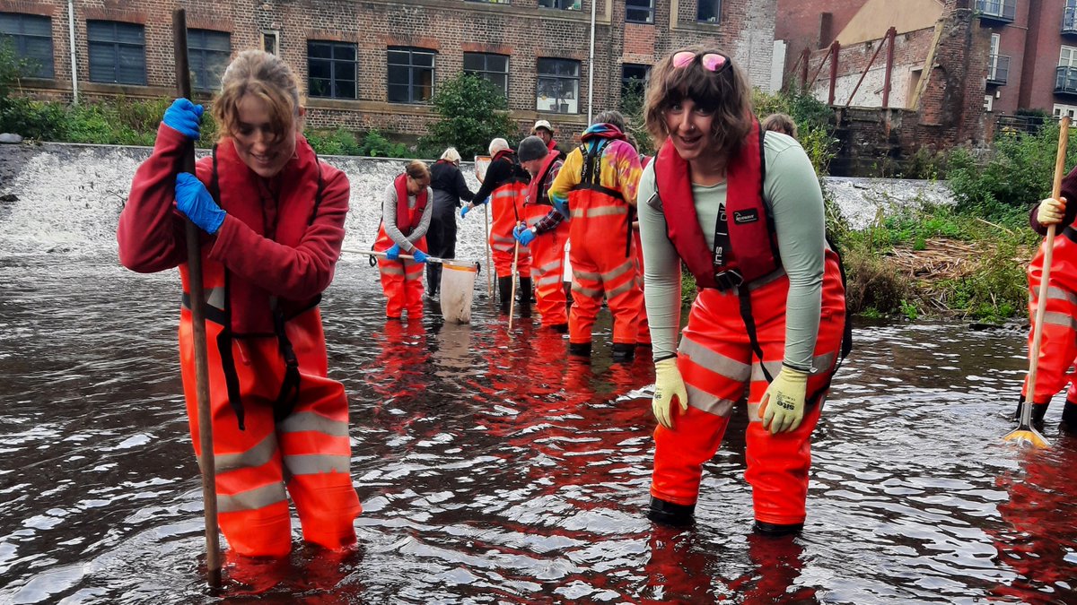 Our Stewardship Skills Scheme group were joined by #volunteers from #KINCA & #SheffielRiverRangers to learn how to carry out #RiverflyMonitoring 🪰Participants will now be able to carry out regular kick sampling to monitor which invertebrates are living within their local river