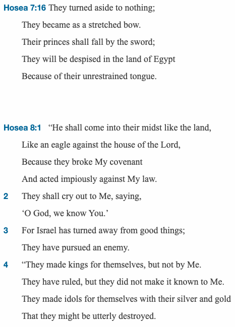 wideopenvista's tweet photo. The "He" in Hosea 8:1 is Egypt who betrayed Israel (see Hos 7:11) to Assyria (modern-day Egypt,Syria,Iraq &amp; parts of Iran) the dominant force ~ 700 BC.  

History echoes into the present. The ascendant BRICs countries (including Egypt next year) include the neo-Assyrian empire. https://t.co/ZsKbuyTwwz