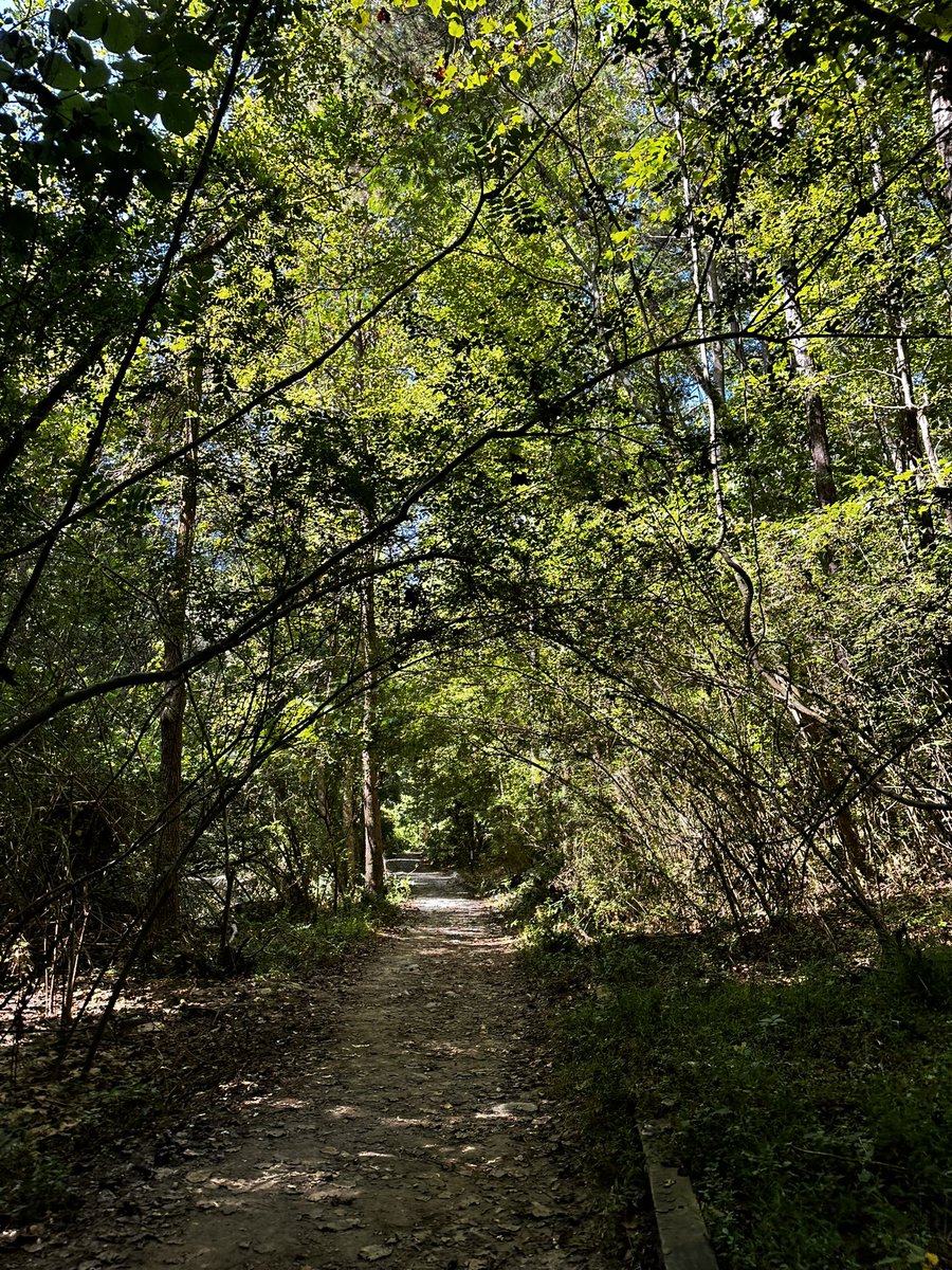 inBL88M's tweet photo. there’s a black man in the woods looking for himself https://t.co/4ZPAMCyUBy