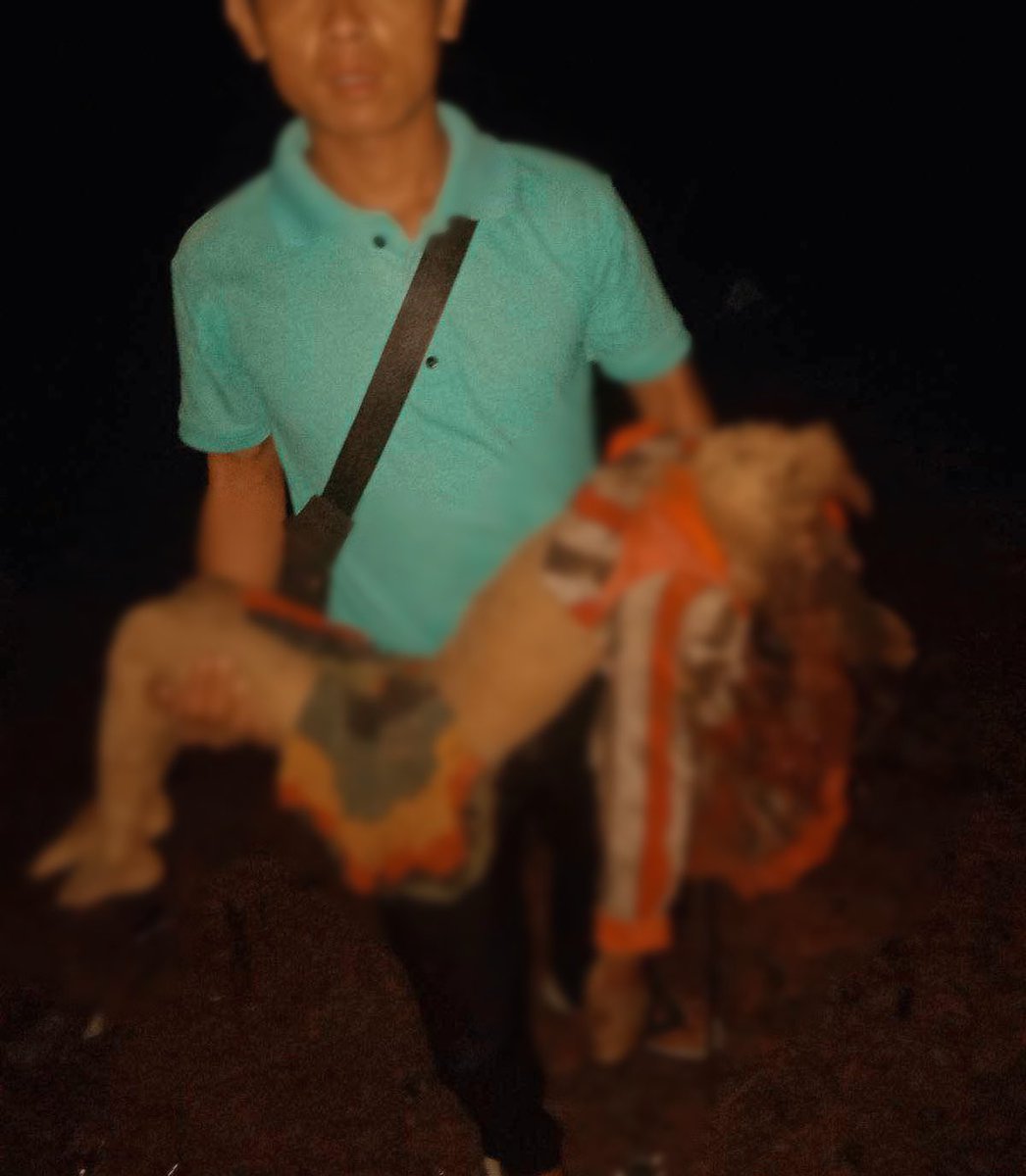 EstherZeNaw's tweet photo. I am sorry for the horrific pictures. 
But they are the real-time images of what we are suffering under the military’s war crimes. Believe it or not. #WhatsHappeningInMyanmar https://t.co/wITVkRcfqq