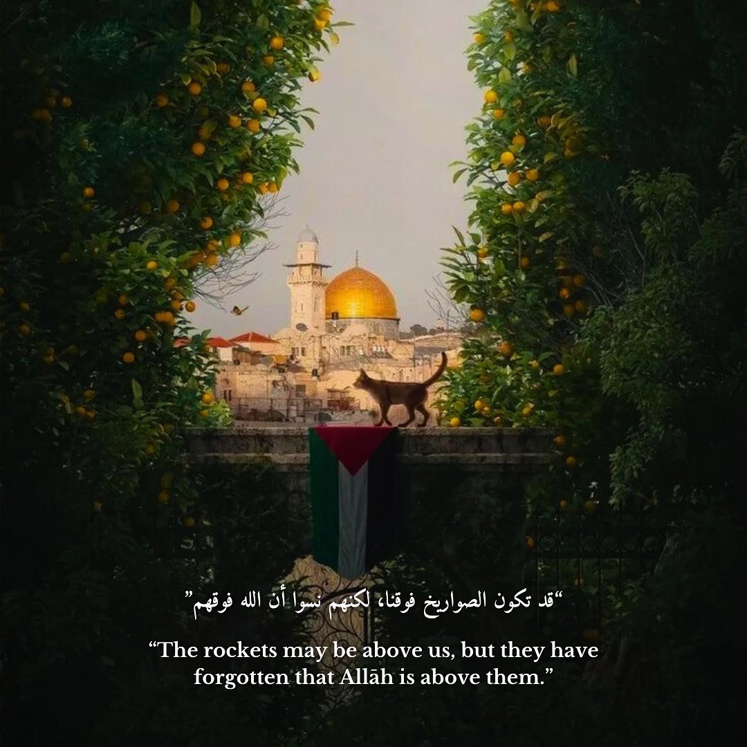 A Palestinian child once said 🇵🇸