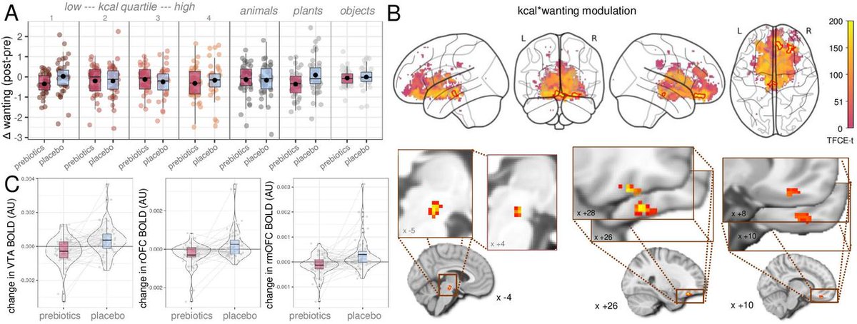 Veronica Witte 🇺🇦 (@witte1veronica) on Twitter photo New #RCT on plant-based #prebiotics and food decision-making: now out in <a href="/Gut_BMJ/">Gut Journal</a> 🥳
doi.org/10.1136/gutjnl…
👏led by the wonderful <a href="/EvelynMedawar/">Evelyn Medawar</a> with @RonjaThieleking <a href="/frentoux/">frentoux</a> <a href="/AgingObesity/">Aging&Obesity - Omega lab</a> <a href="/arnovillri/">Arno Villringer</a> <a href="/UKL_Leipzig/">Universitätsklinikum Leipzig</a> <a href="/UFZ_de/">UFZ</a>
🍏🦠🧠#gut #brain #openscience
read the summary⬇️ New #RCT on plant-based #prebiotics and food decision-making: now out in <a href="/Gut_BMJ/">Gut Journal</a> 🥳
doi.org/10.1136/gutjnl…
👏led by the wonderful <a href="/EvelynMedawar/">Evelyn Medawar</a> with @RonjaThieleking <a href="/frentoux/">frentoux</a> <a href="/AgingObesity/">Aging&Obesity - Omega lab</a> <a href="/arnovillri/">Arno Villringer</a> <a href="/UKL_Leipzig/">Universitätsklinikum Leipzig</a> <a href="/UFZ_de/">UFZ</a>
🍏🦠🧠#gut #brain #openscience
read the summary⬇️