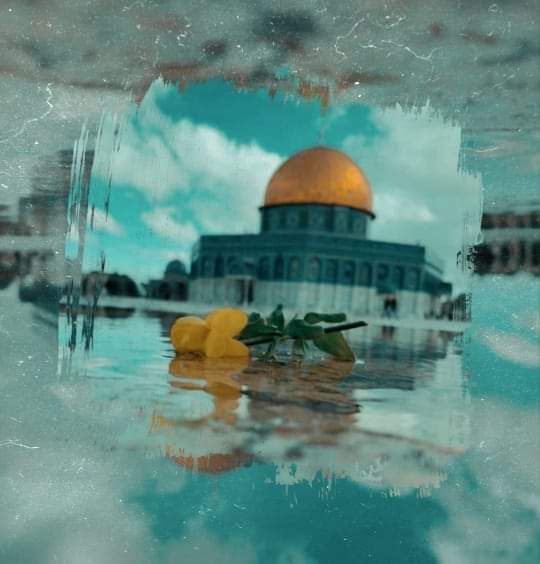 الاحتلال يقتل فلسطينيا فيقال هذا دفاع عن النفس، والفلسطيني يرد الضربة فيقال إنه إرهاب.. متى ينعدل ميزان الغرب المعوج؟
#طوفان_الأقصى #غزة_الآن #Gaza #غزة_تحت_القصف