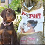 Photo by Trophy Pet Foods (@TrophyPet)