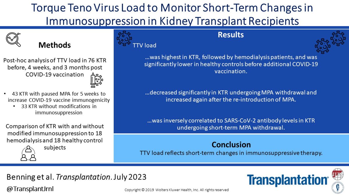 TransplantJrnl's tweet image. The paper by @louise_benning &amp;amp; commentary demonstrate that Torque teno virus (TTV) plasma load is a good surrogate parameter to monitor immunocompetence in kidney Tx recipients. #immunosuppression #VisualAbstract #TransplantTwitter bit.ly/3POjZRg bit.ly/46lcwjN