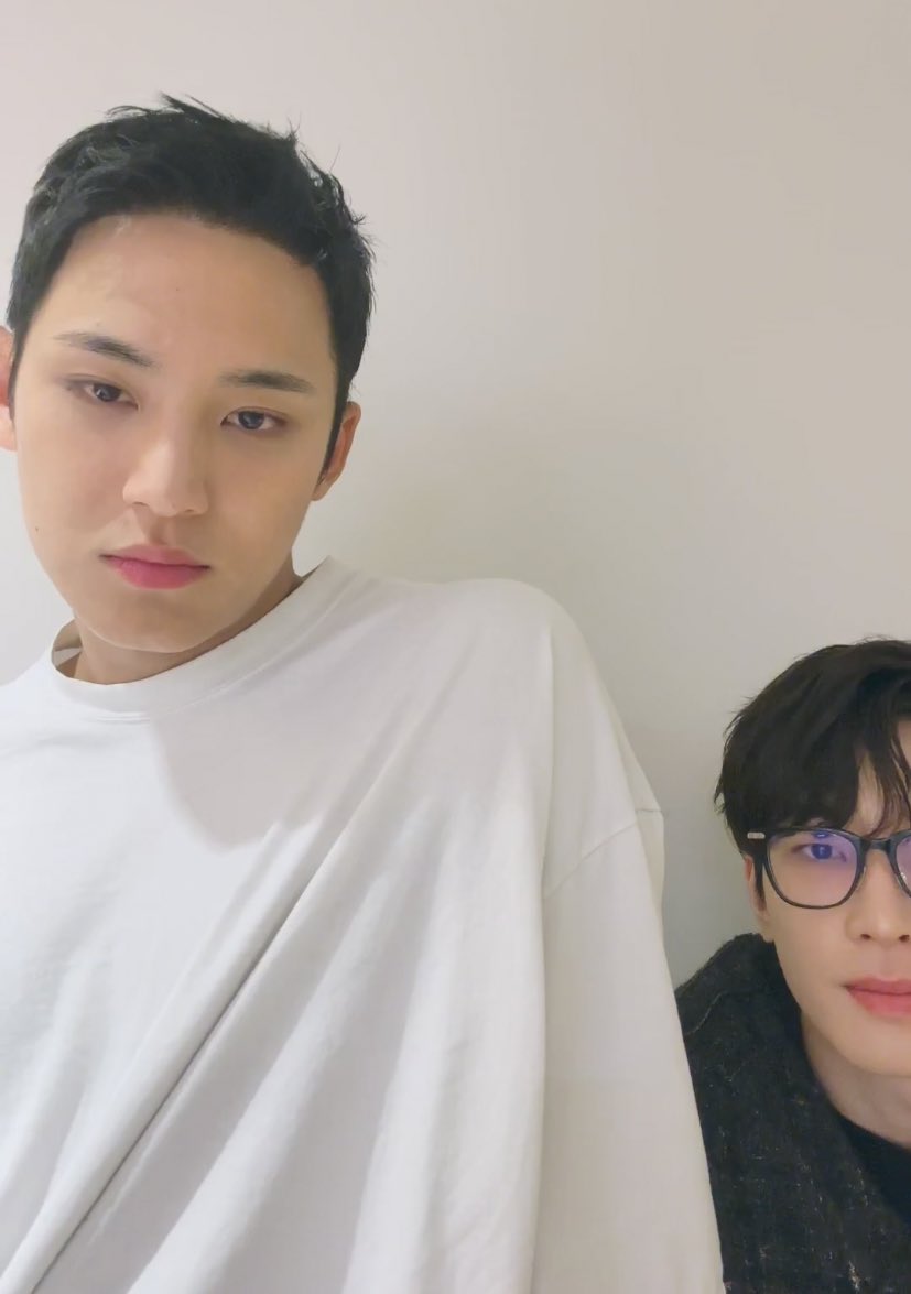 MINGYU AND WONWOO
