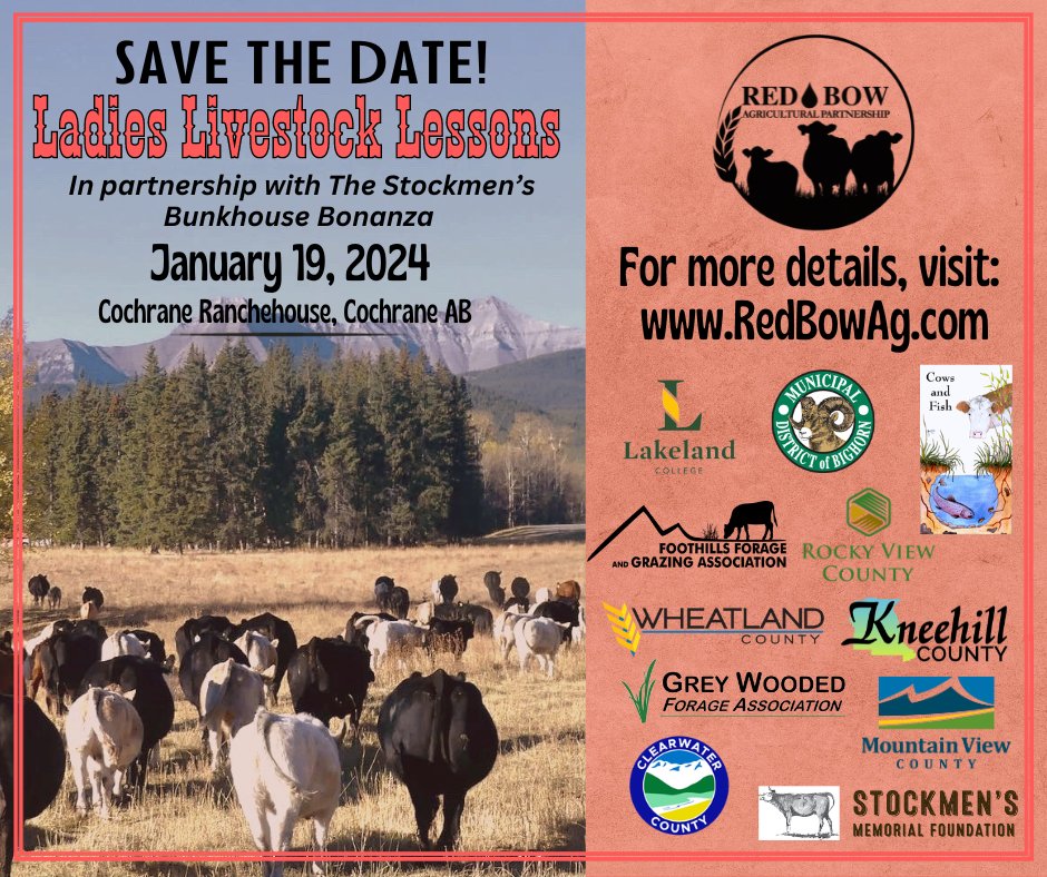 SAVE THE DATE! Ladies Livestock Lessons in partnership with the Stockmen's Bunkhouse Bonanza at Cochrane Ranchehouse on January 19, 2024. Stay tuned for more details.