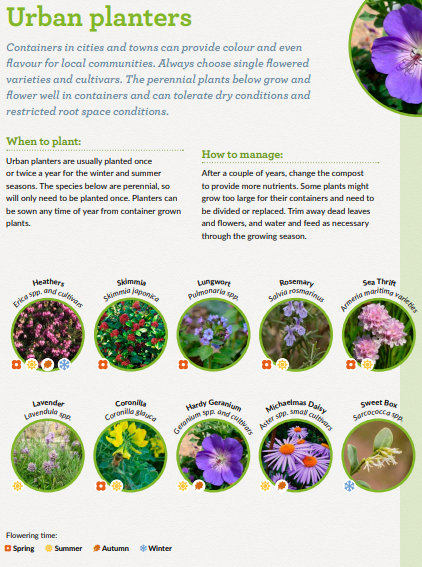 PollinatorPlan's tweet image. Q: Planning some pollinator-friendly planters on your business site for 2024?
A: Check out the *TOP TEN pollinator-friendly plants for different situations* guide. tinyurl.com/4vh39y22 @Biodatacentre 
#thebusinessofbees #inpollinatorswetrust #cropsecurity #climatechange