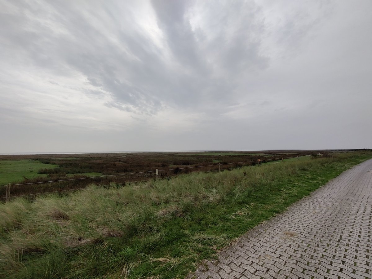 siggivoelkl's tweet photo. #Bindannmalweg
#Juist
Erst 6 km laufen, dann 1 Stunde anstehen für den besten Stuten des Nordens.
Ausdauer ist gefragt! https://t.co/A9KkoOBGaE