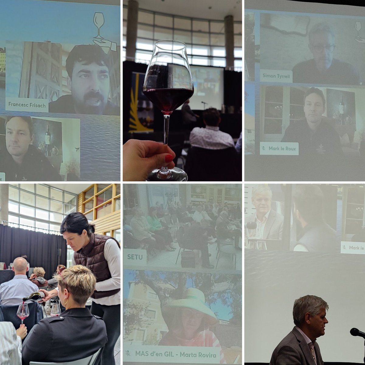 Day 2 of <a href="/sommitireland/">Sommitireland</a> kicked off with a Grenache/Garnacha panel. From Catalunya to Australia passing through by Rhône and Stellenbosch #wine #grenache #garnacha #sommitireland