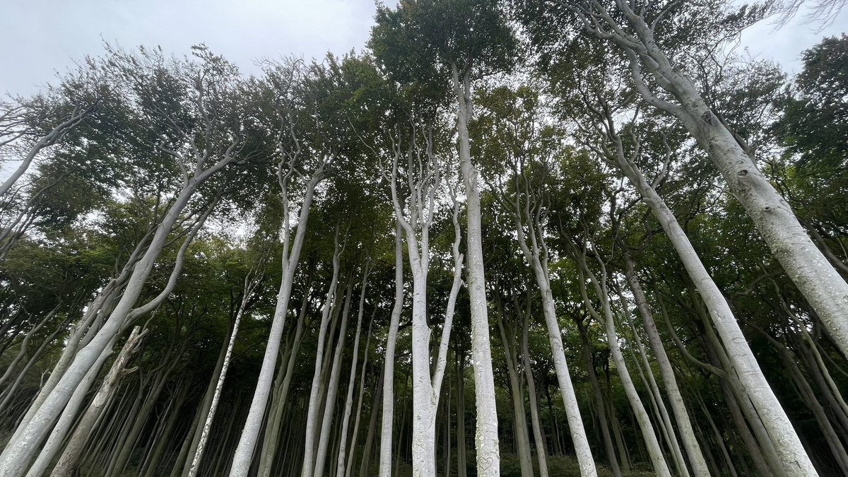 if capturing the essence seems too daunting, try looking for details