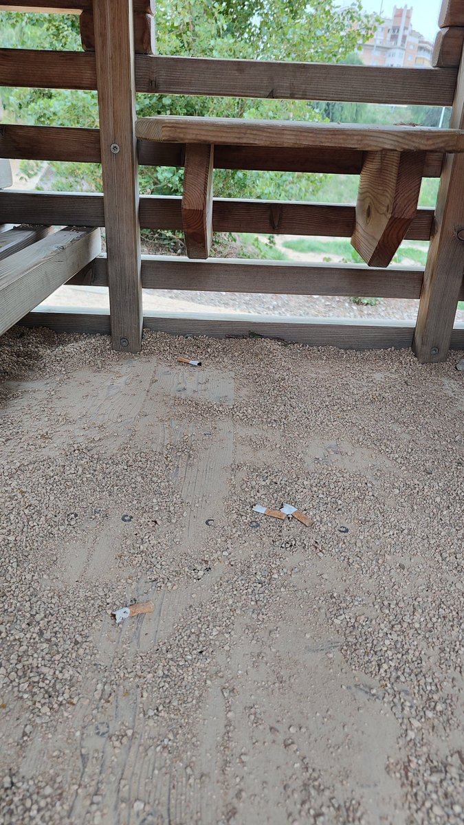 blaseitor_'s tweet photo. Así está el parque del Torrent de la Font de #Badalona , lugar donde llevamos a nuestros pequeños a que se diviertan entre colillas, latas, porros y basura, la dejadez es absoluta @Albiol_XG que está sucediendo?@AjBadalona  @Totbadalona https://t.co/ViDDvpPbCR