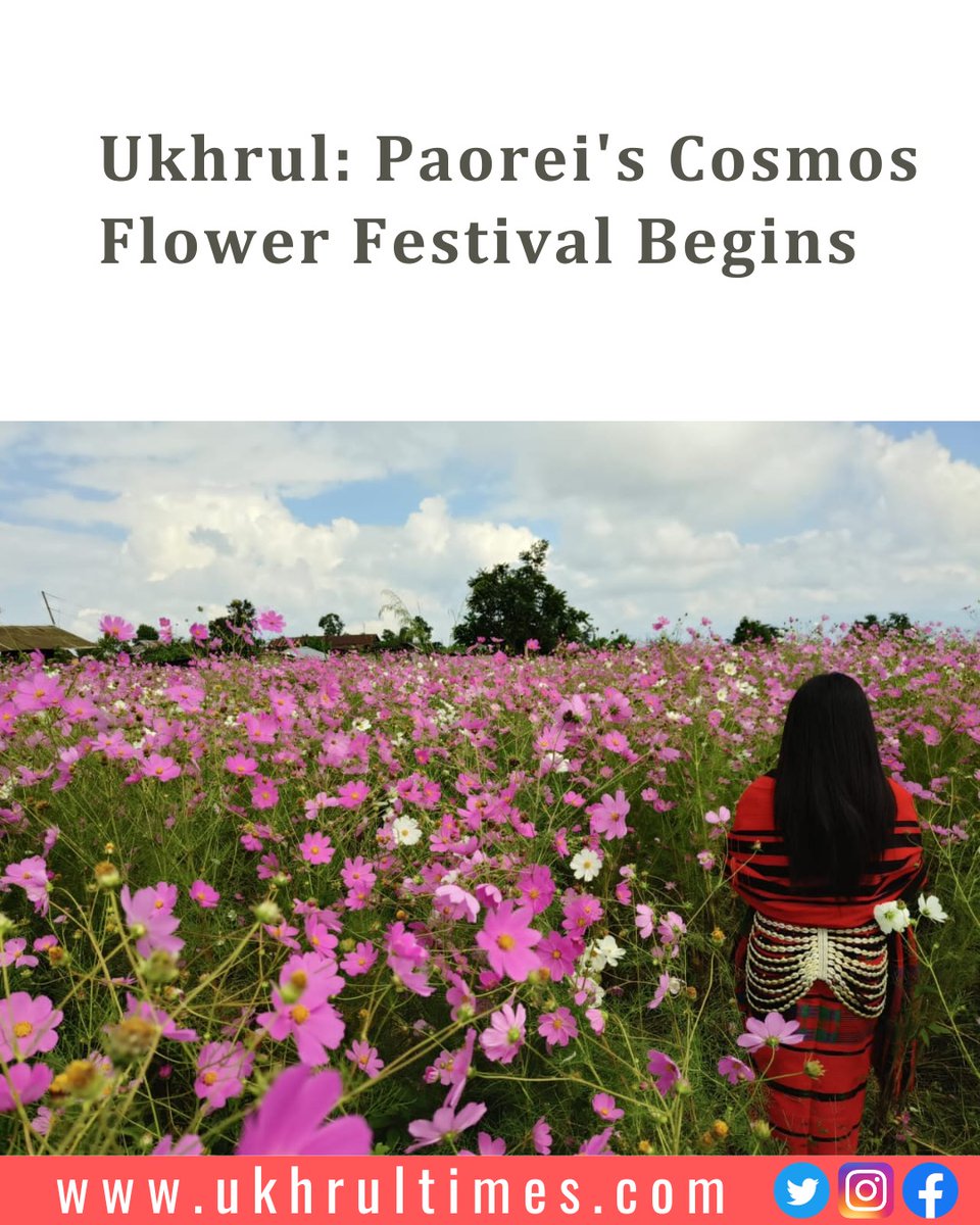 ukhrultimes's tweet photo. #Ukhrul: The 2nd edition of Paorei village #Cosmos Flower #Festival kicked off today amid the full bloom of multi-hued #flowers at the local ground, Paorei village, Ukhrul district, #Manipur.  The inaugural #ceremony was attended by the DFO of Ukhrul, Shanngam Shaliwo as chief guest and Additional SP of Ukhrul, Ringthing Hongchui as guest of honour. The festival will continue until 14 October 2023. Sales and exhibitions of indigenous flowers, handicrafts, organic vegetables and seasonal delicacies are being held. A spot painting competition will also be organised during the festival. #CosmosFlower  

Must read | https://t.co/tYh3lQzomA