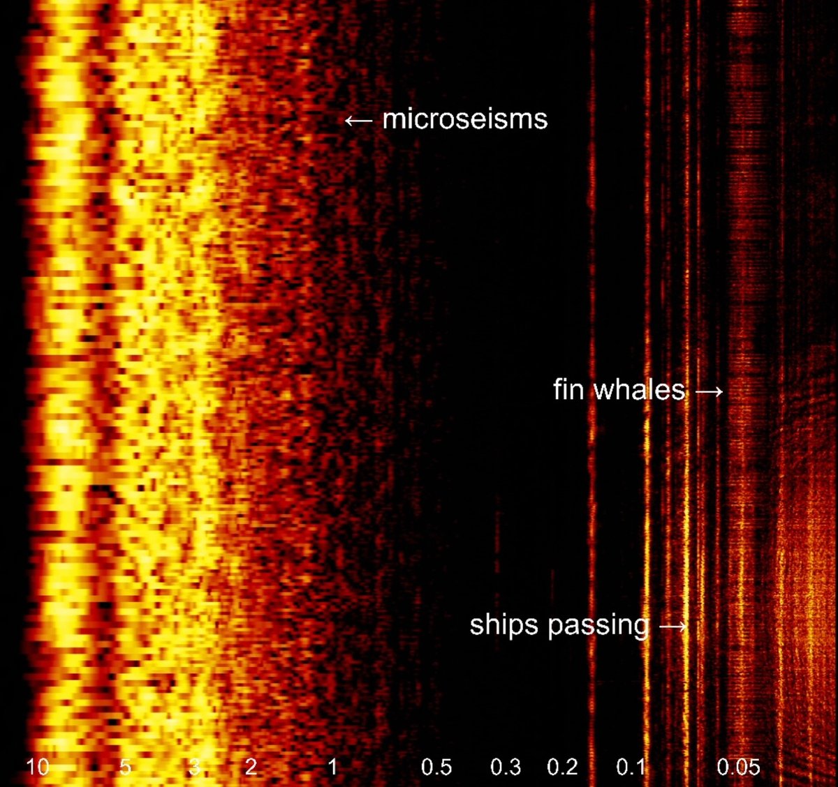 📢New exhibition, 24th Oct📢 Earth Traces is an art-science collaboration between @EarthSciCam and @DStallingSound which reveals sounds from within the Earth that are usually inaudible. Drop in for a captivating listening experience tinyurl.com/ycxkym9t #SoundsOfTheEarth