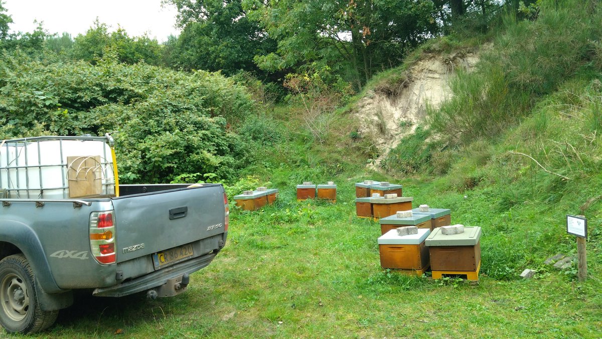 Time for the last round of syrup, before it gets too cold. Had frost in the weekend and only a few+degrees this morning.
Last round is more of a top up, as the main feeding is done.
+8 frame Dadant colonies, after the heather, makes a good starting point for the winter ☺️