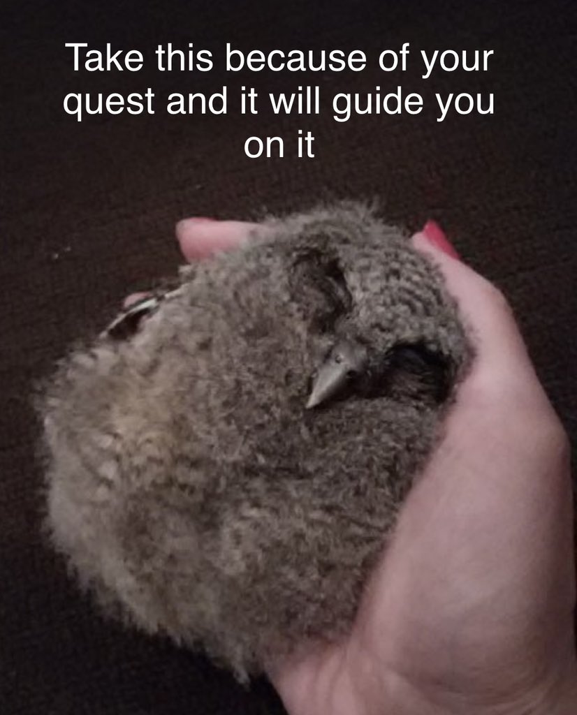 Naomi Elizabot (@nelizabot) on Twitter photo 