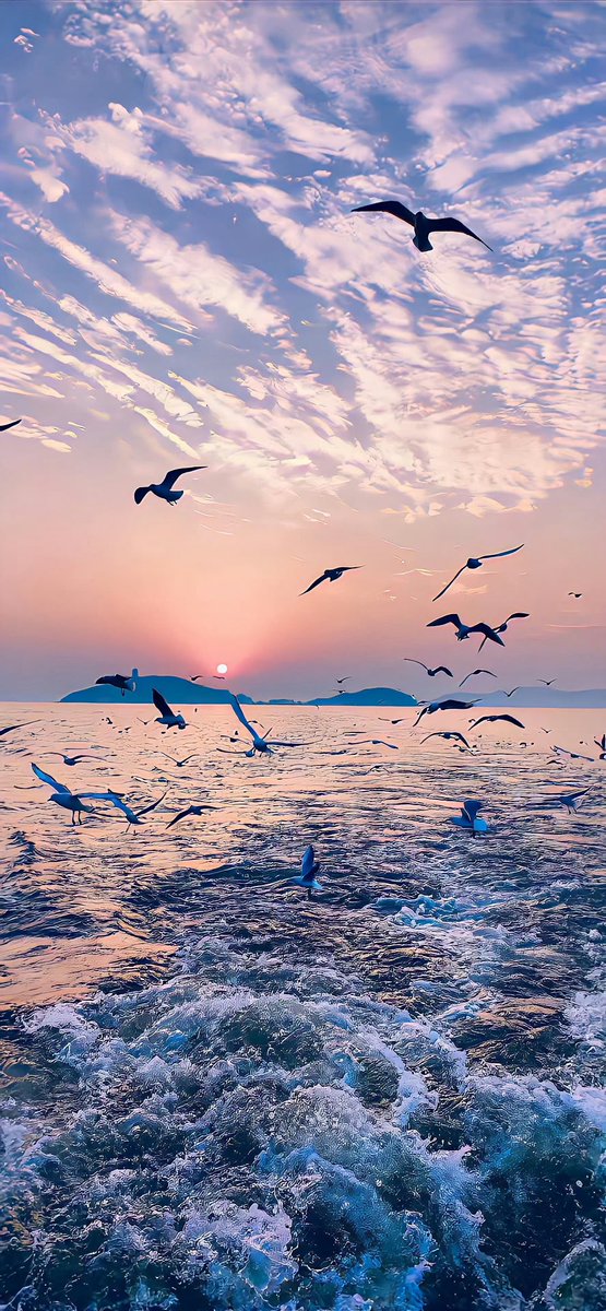 _Feelingdown_'s tweet photo. 🌊🕊️
กดรีก่อนเซฟ ❤
ขอบคุณก๊าบบบ 💜
#แจกรูป #แจกวอลเปเปอร์ 
#แจกวอล
#แจกวอลโฟน #วอลเปเปอร์ไอโฟน https://t.co/OpNsrm2O5W