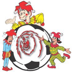 vvacht.nl/bestuursberich…