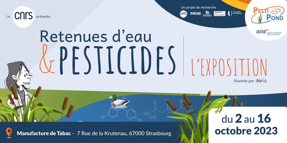 Les retenues d’eau à proximité des zones agricoles captent une partie des #pesticides déversés. Pour le meilleur ou pour le pire ? #environnement #santé
Visitez l’exposition « PESTIPOND » à la Manufacture de Tabac de Strasbourg du 2 au 16 octobre 2023 !
<a href="/AgenceRecherche/">ANR - Agence nationale de la recherche</a> #SAPSCNRS