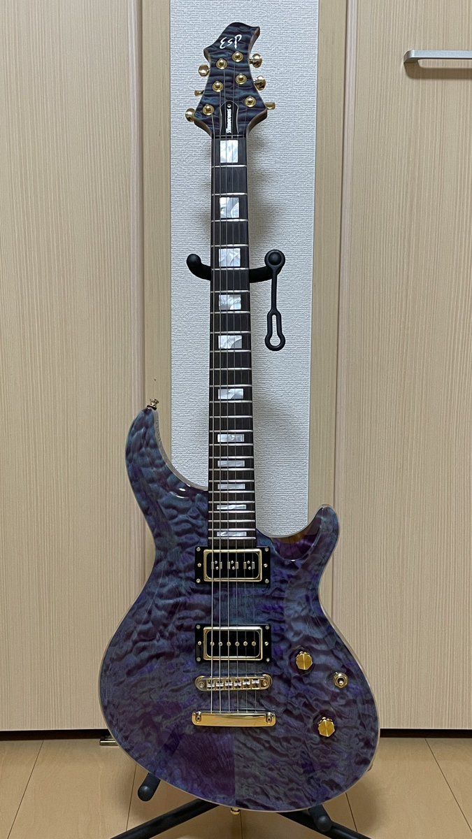 ESPオーダーギター】 (フロント)Custom Shop Staple Pickup Repro