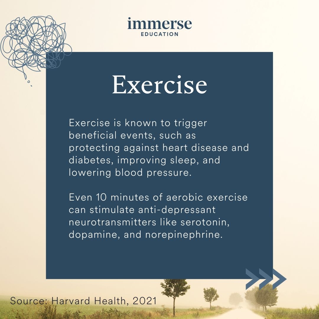 Immerse_Edu's tweet photo. This World Mental Health Day, we're sharing some bitesize tips to support your mental health journey.
#worldmentalhealthday #mentalhealth #support #mentalhealthtips #happystudents #immerseeducation #onlinelearning #mentalhealthmatters #summerschool2024 https://t.co/5pxFqNOdpw