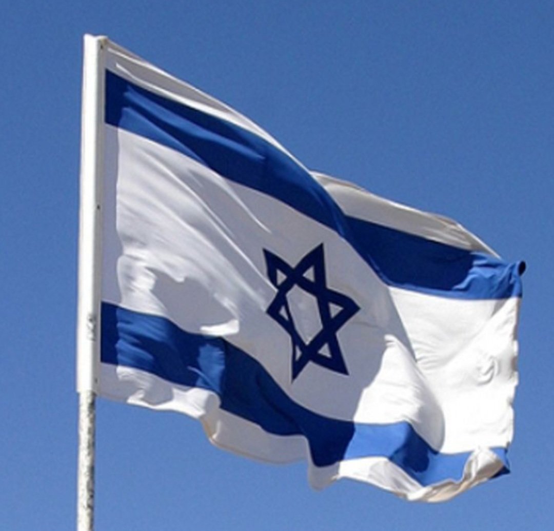 Sfouk Alsheikh tweet media