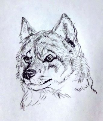 サシス セソ tweet media