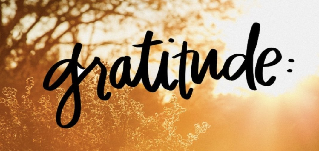 🎉🏥✨ Gratitude alert! It's Medical Device Reprocessing Week at Sunnybrook, and we're overflowing with appreciation for our incredible teams! 🙌🩺💖

Thank you for your unwavering commitment to patient safety and quality care. You make a world of difference every day! 🌟💙