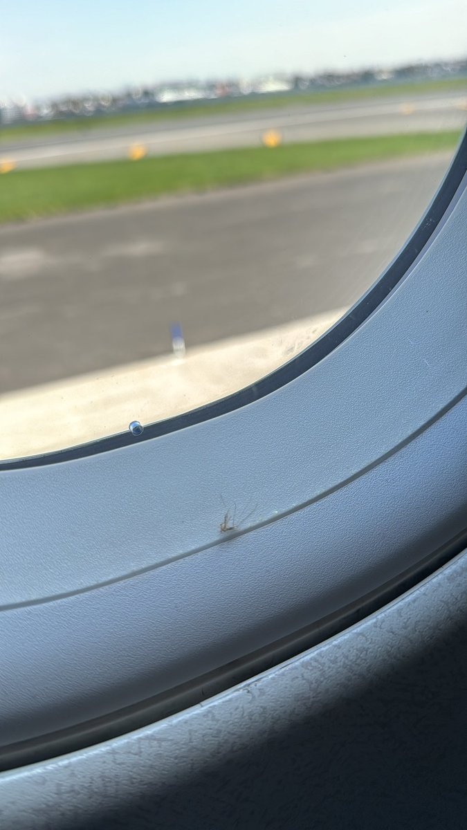 飛行機の二重窓でお亡くなりになってるこの蚊さんはどこからお入りになられたの？ #onlyintheus